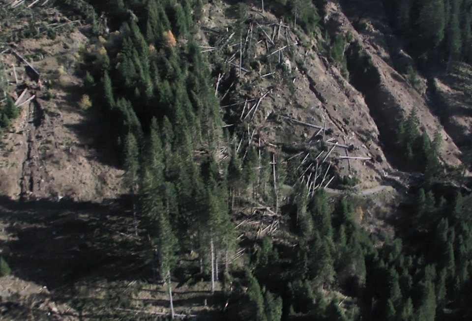 Opportunità di lavoro per il ripristino dopo i danni da&nbsp;maltempo