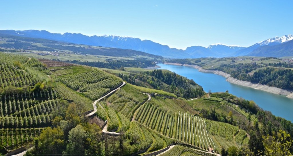 Val di Non, conferenza stampa di presentazione del&nbsp;Coordinamento